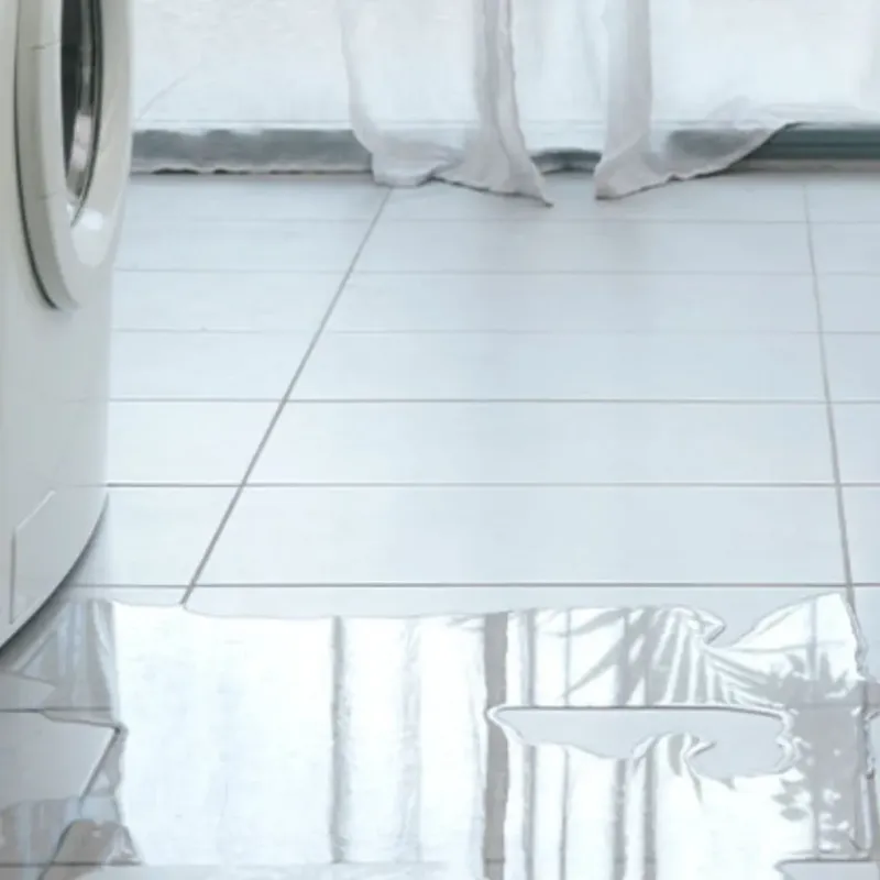 Appliance Leak Cleanup in Succasunna, NJ