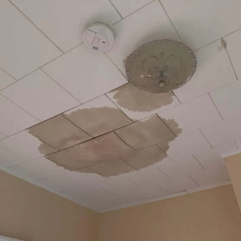 Ceiling Water Damage Repair in Succasunna, NJ